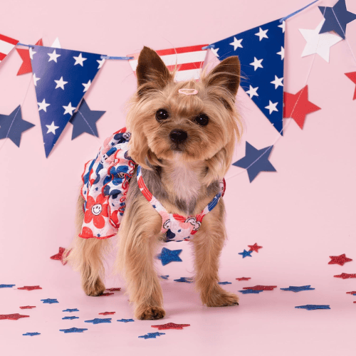 Modern "Patriotic Bloom" Pet Sundress – Ruffled Hawaiian Smiley Flower Dress